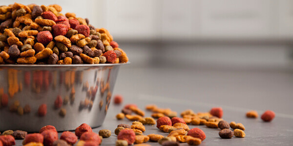 How to Choose the Right Pet Food Brand