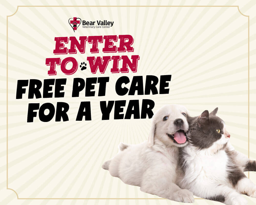 Win Free Pet Care for a Year!